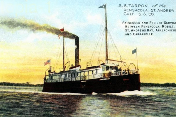 TarponPostcard The Tarpon