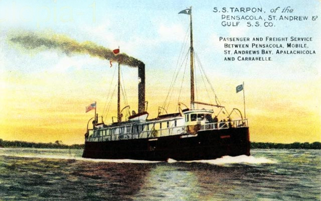 The Tarpon