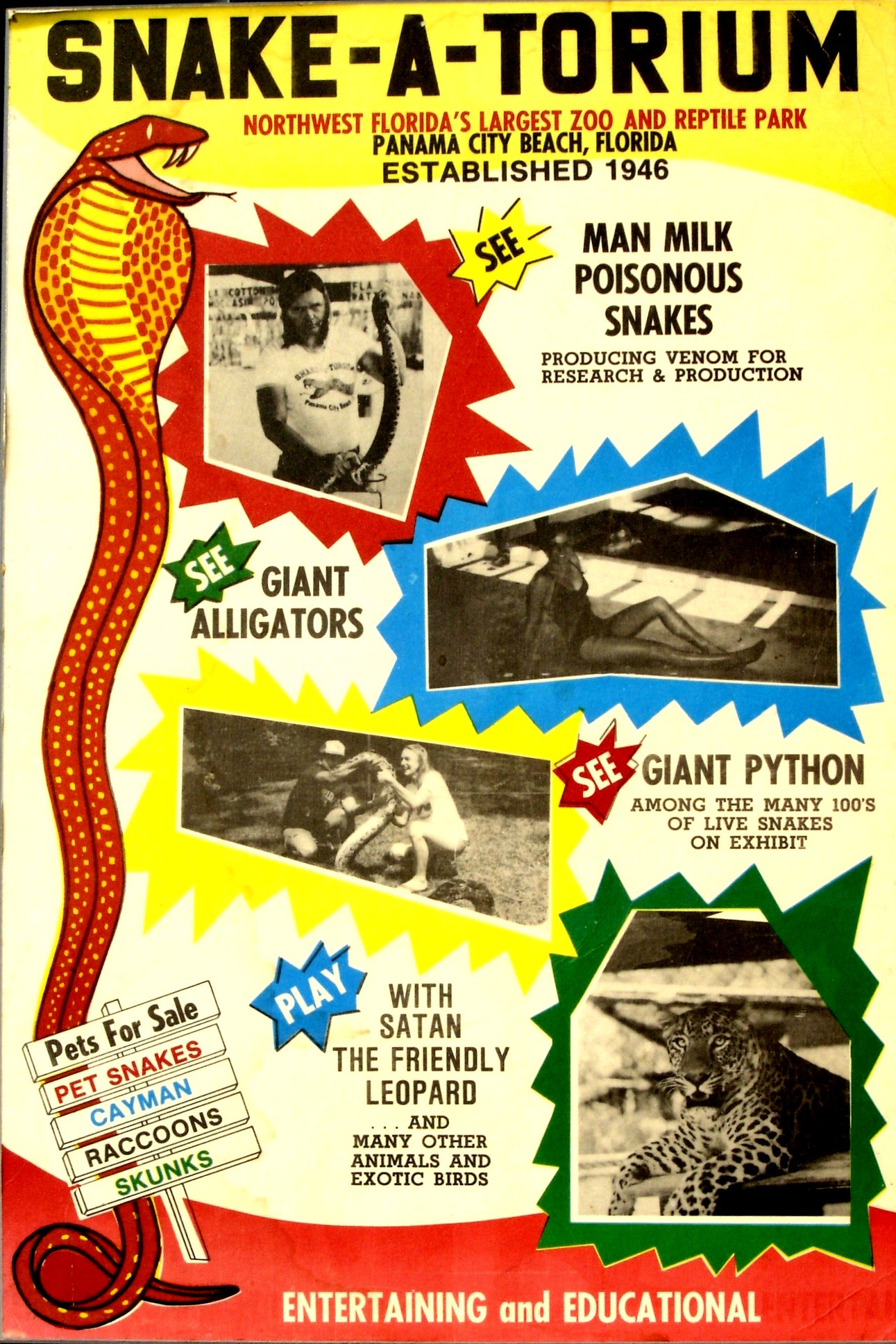 Snake-A-Torium Flyer