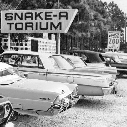 Old Snake Sign